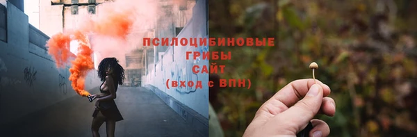 МДПВ Вязьма